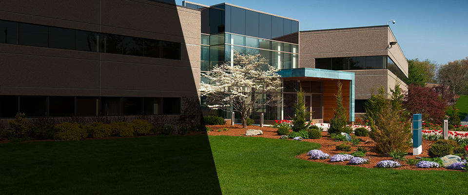Williamston Landscapers