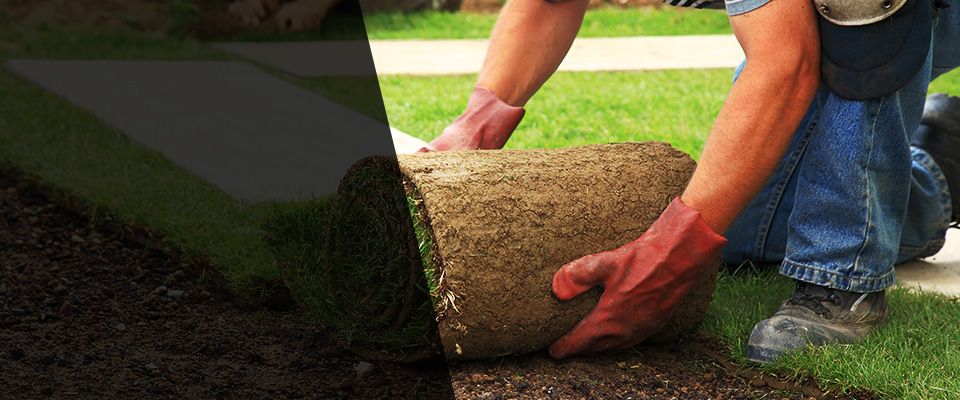 Williamston Landscapers